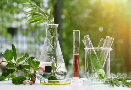 About Us Our Company 01